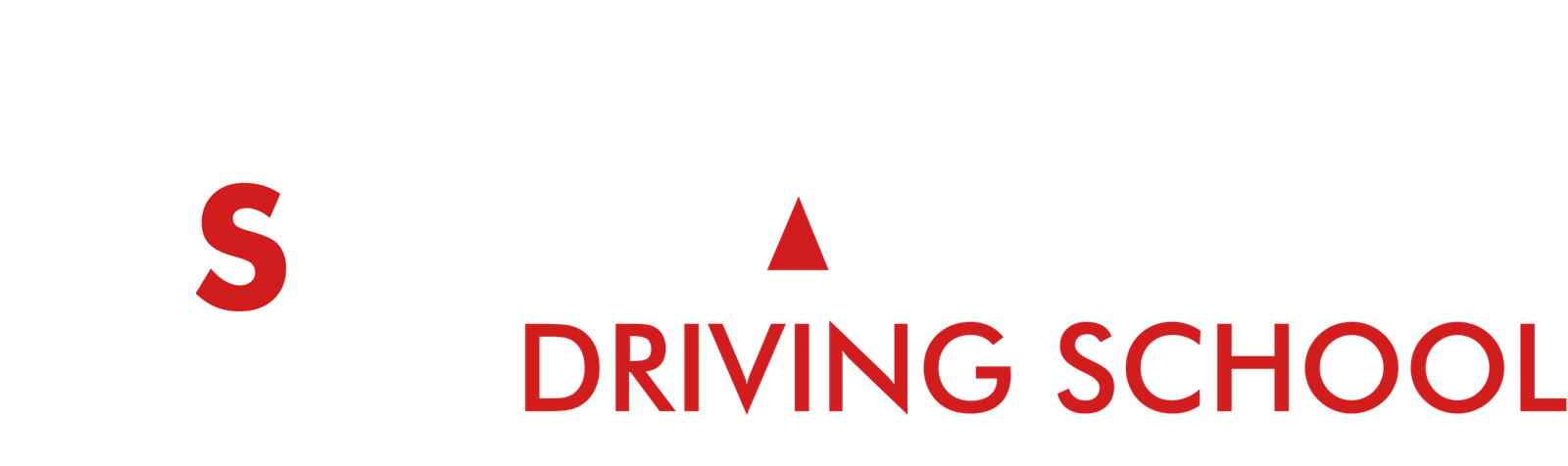 Saqib Driving School LOGO1 (1)